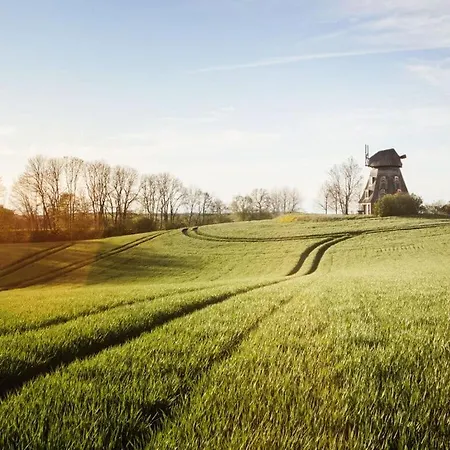 Einkorn, Pubper Mill